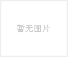 淡水珍珠项链8.5-9mm冲头AAA级121202